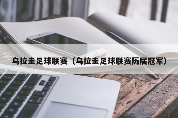 乌拉圭足球联赛（乌拉圭足球联赛历届冠军）