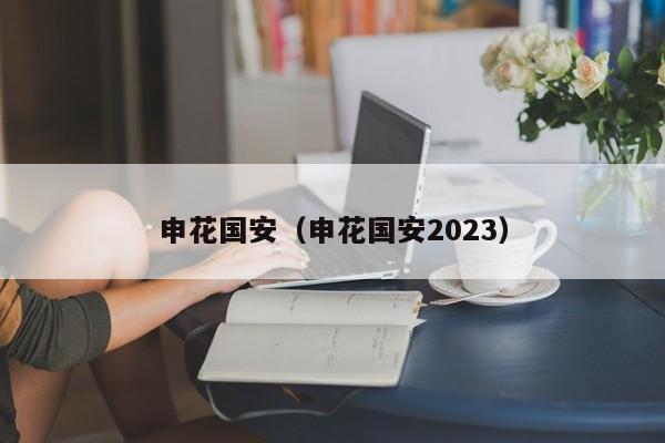 申花国安（申花国安2023）