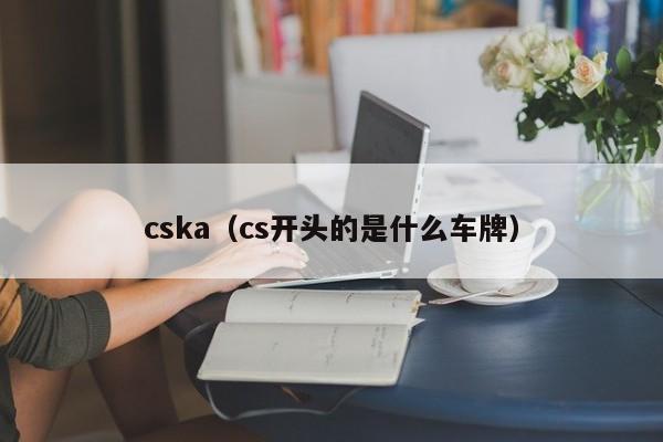 cska（cs开头的是什么车牌）