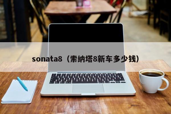 sonata8（索纳塔8新车多少钱）