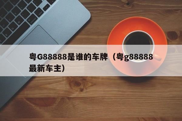 粤G88888是谁的车牌（粤g88888最新车主）