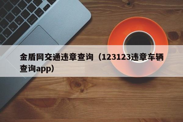 金盾网交通违章查询（123123违章车辆查询app）