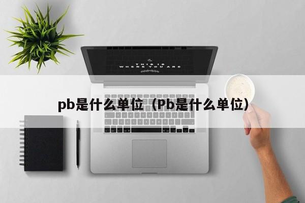 pb是什么单位（Pb是什么单位）