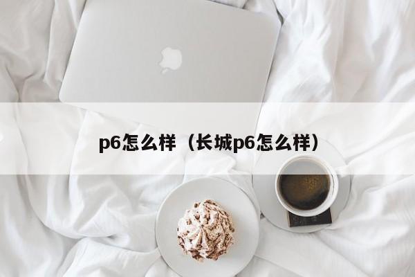 p6怎么样（长城p6怎么样）