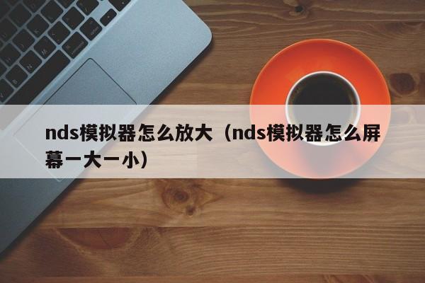 nds模拟器怎么放大（nds模拟器怎么屏幕一大一小）