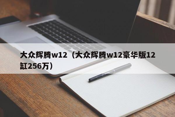 大众辉腾w12（大众辉腾w12豪华版12缸256万）