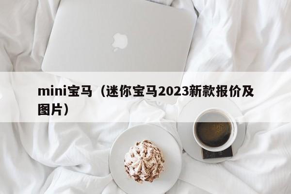 mini宝马（迷你宝马2023新款报价及图片）