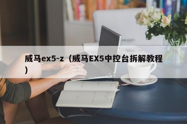 威马ex5-z（威马EX5中控台拆解教程）