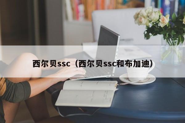 西尔贝ssc（西尔贝ssc和布加迪）