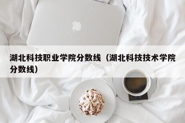 湖北科技职业学院分数线（湖北科技技术学院分数线）