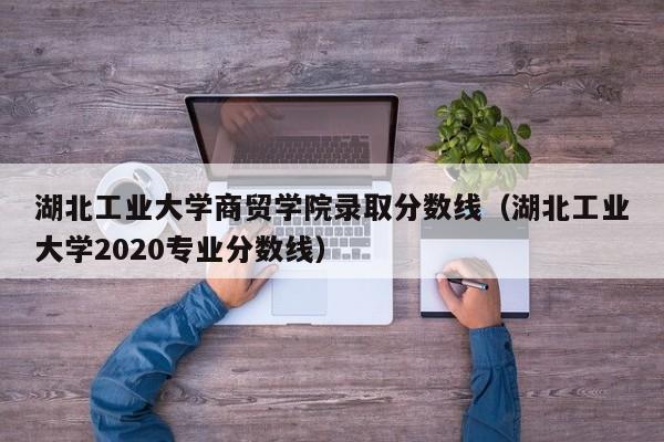 湖北工业大学商贸学院录取分数线（湖北工业大学2020专业分数线）