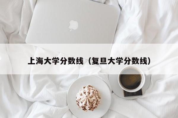 上海大学分数线（复旦大学分数线）