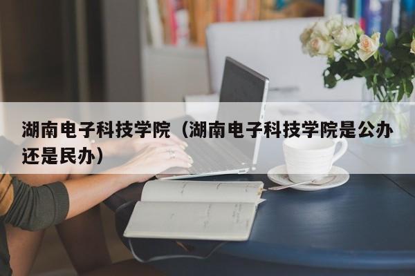 湖南电子科技学院（湖南电子科技学院是公办还是民办）