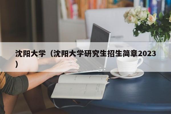 沈阳大学（沈阳大学研究生招生简章2023）