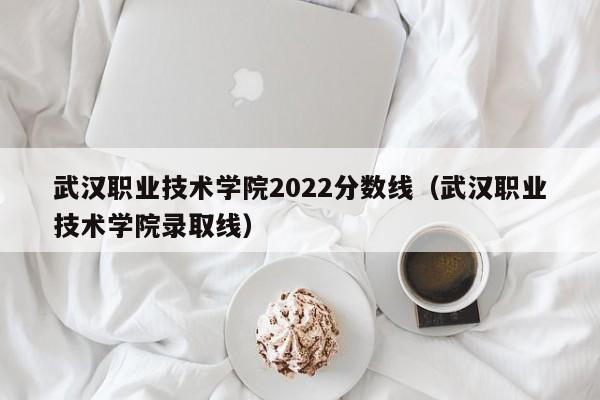 武汉职业技术学院2022分数线（武汉职业技术学院录取线）