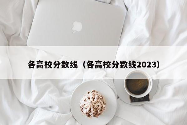 各高校分数线（各高校分数线2023）