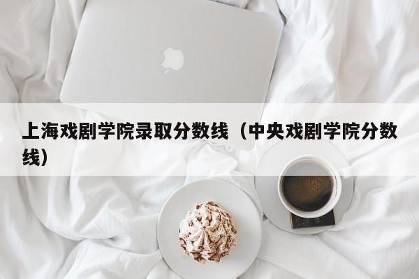 上海戏剧学院录取分数线（中央戏剧学院分数线）