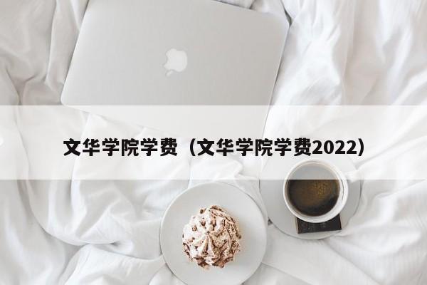 文华学院学费（文华学院学费2022）